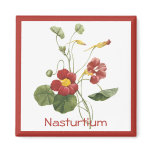 Nasturtium magnets