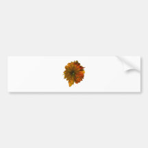 nasturtium.png bumper sticker