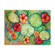 Nasturtium Water Fantasy Postcard