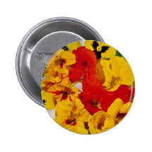 Nasturtiums  flowers pin