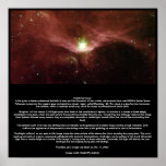 Natal Microcosm posters
