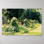 natchez graveyard1 print