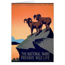 National Parks Greeting Card