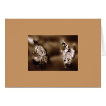 Native American greeting card