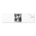 Native American Indian Vintage Portrait bumper stickers