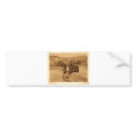 Native American Indian Vintage Portrait bumper stickers