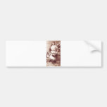 Native American Indian Vintage Portrait Bumper Stickers