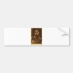 Native American Indian Vintage Portrait Bumper Sticker