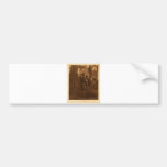 Native American Indian Vintage Portrait Bumper Sticker