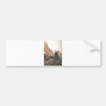 Native American Indian Vintage Portrait Bumper Stickers