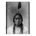Native American Indian Vintage Portrait Post Card