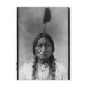 Native American Indian Vintage Portrait postcards