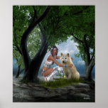 Native American Scenes Poster posters