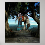 Native American Scenes Poster posters