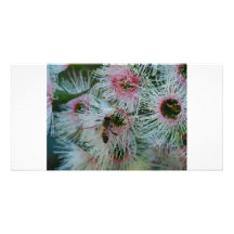 Native Flower Customized Photo Card