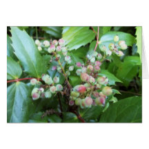 Native Plant Note Card