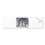 Nativity bumper stickers