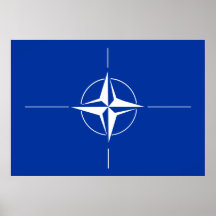 Nato Flag Print