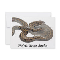 Natrix Grass Snake Custom Invites