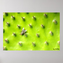 Natur pur posters