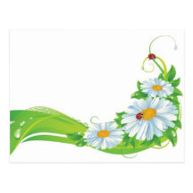 Natura Life Green Postcard