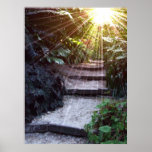 Natural Ascension Poster