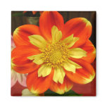 NATURAL BEAUTY BY GREGORY GALLO FRIDGE MAGNETS