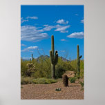 Natural Cactus Landscape 3994