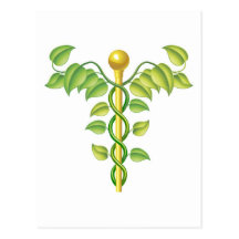 Natural caduceus concept postcard