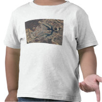 Natural-colour image of BrasÃ¯Â¿Â½lia, Brazil T-shirt