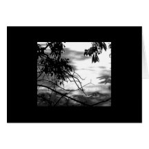 Natural Delicacies 100 Greeting Cards