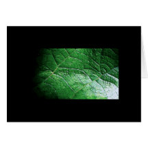 Natural Delicacies 101 Card