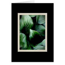 Natural Delicacies 104 Card