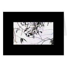 Natural Delicacies 4 Card