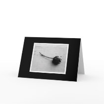 Natural Delicacies Card
