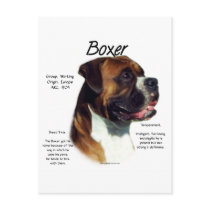 Natural Ear Boxer Meet the Breed