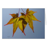Natural Gold Greeting Cards
