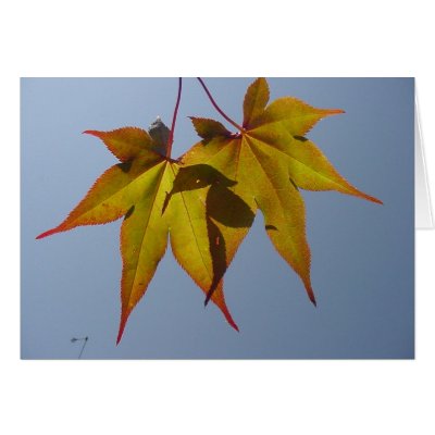 Natural Gold Greeting Cards by MissesKisses