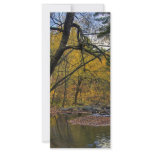 Natural Gold rack cards