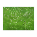 Natural Jewels postcard