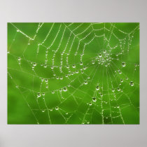 Natural Jewels - poster