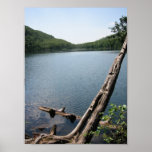 Natural Perspective Poster