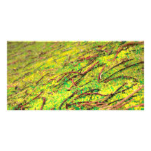 Natural vivid colours photo greeting card