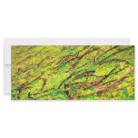 Natural vivid colours rack cards