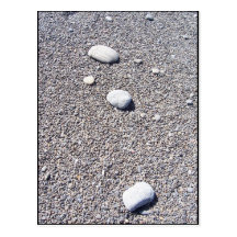 Natural Zen Postcard
