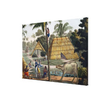Naturalists question natives near Kupang, Timor, p canvas prints