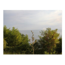 Nature 1 postcard