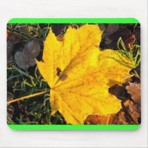 Nature Assignment - Mouse Pad