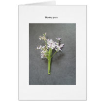 Nature Card, a special range of cards