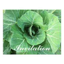 Nature Green cabbage Custom Announcements